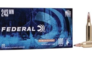 FEDERAL 243 WIN 100GR SP POWER-SHOK