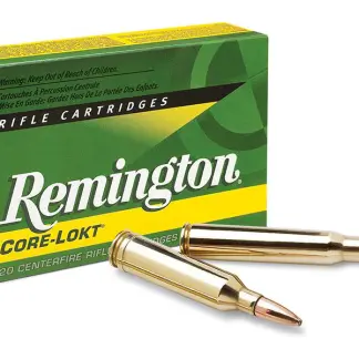 Remington 243win 80GR PSP