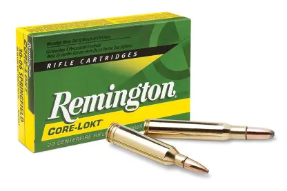 Remington Core Lokt