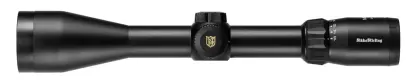NSMEG41650