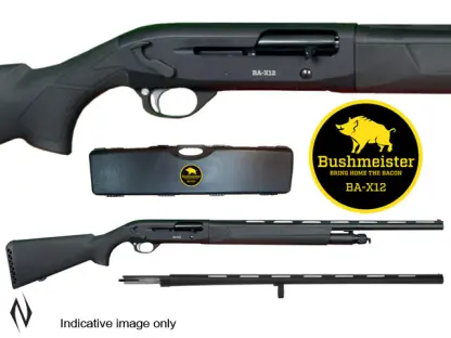 BBA12CS